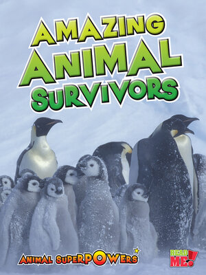 cover image of Amazing Animal Survivors